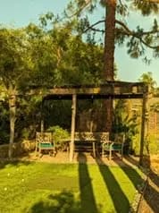 The old arbor, under the pine that shades this corner of the yard. Its slat top throws a striped shadow across the lawn instead of shade you could sit in.