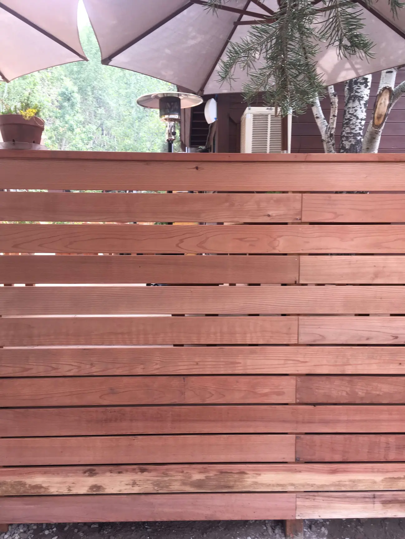 Redwood fence boards run horizontally along the edge of the patio, with a potted plant and an open umbrella above them and pine trunks beyond.